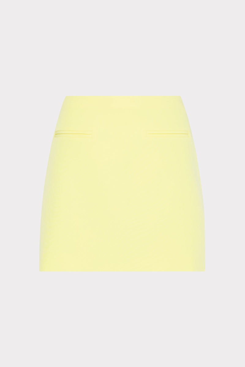 Lizzy Cady Mini Skirt