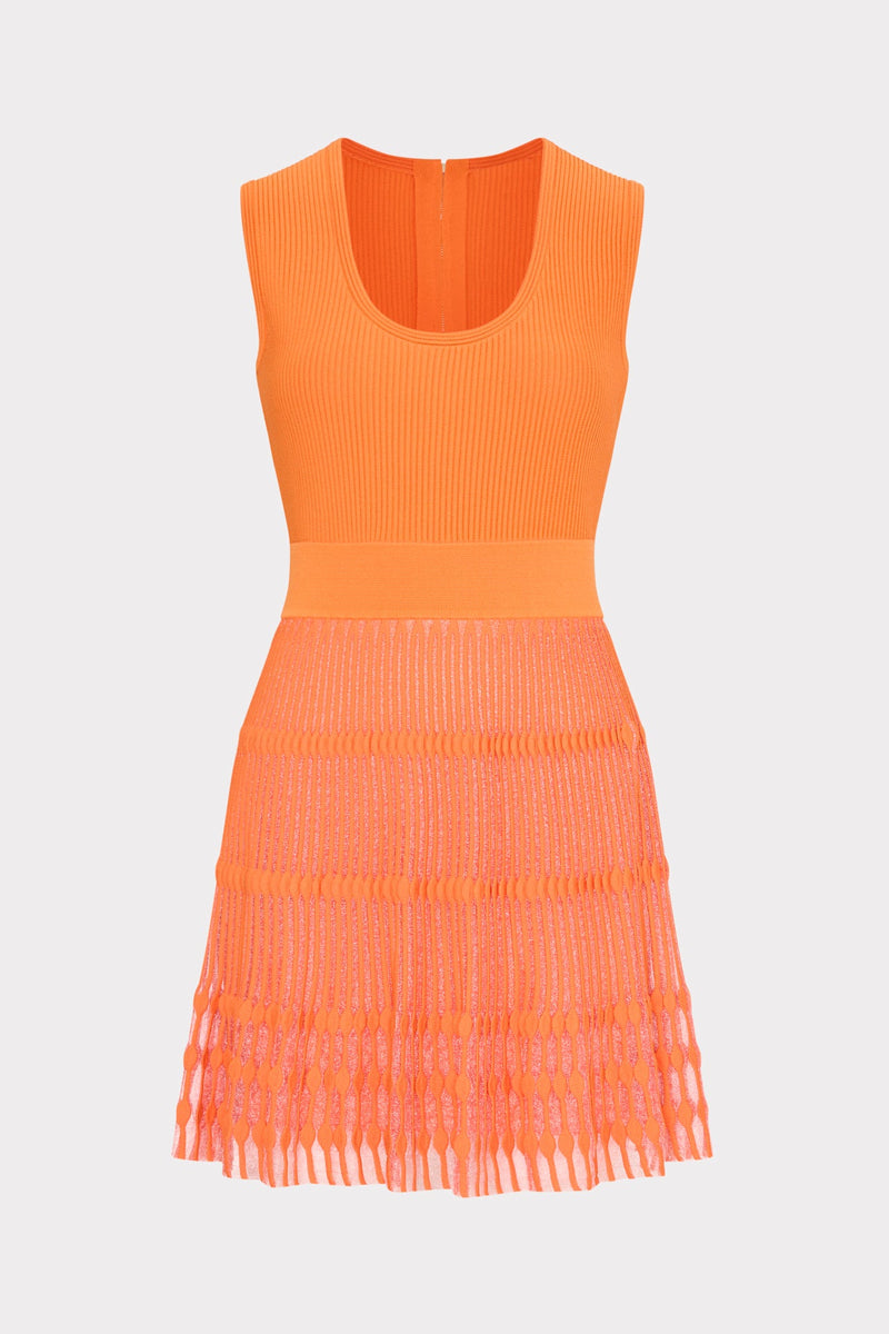 Sheer Knit Fit And Flare Mini Dress