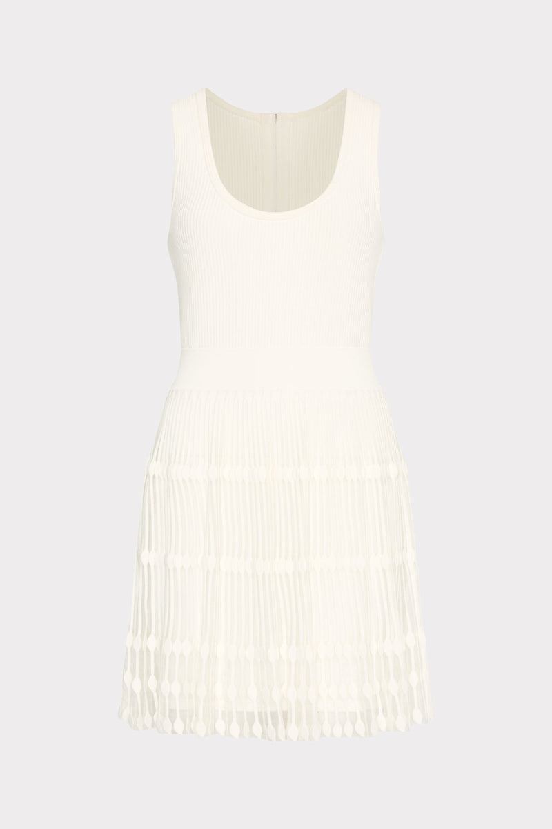 Sheer Knit Fit And Flare Mini Dress