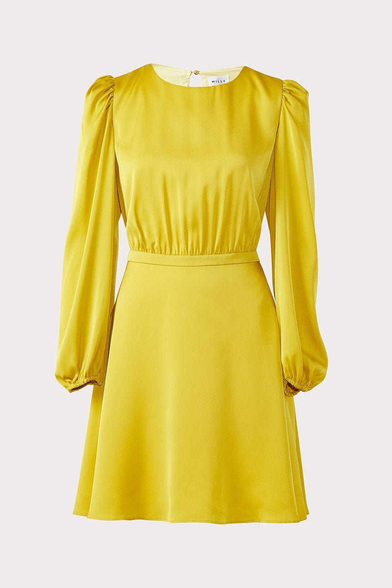 Elma Stretch Silk Dress