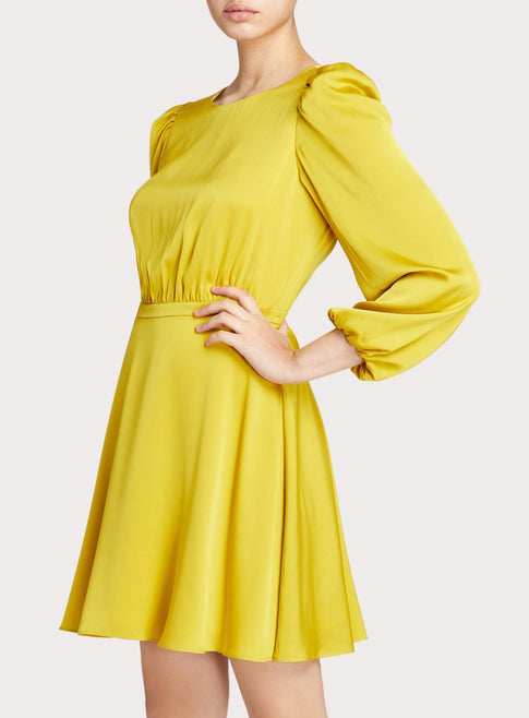 Elma Stretch Silk Dress 1