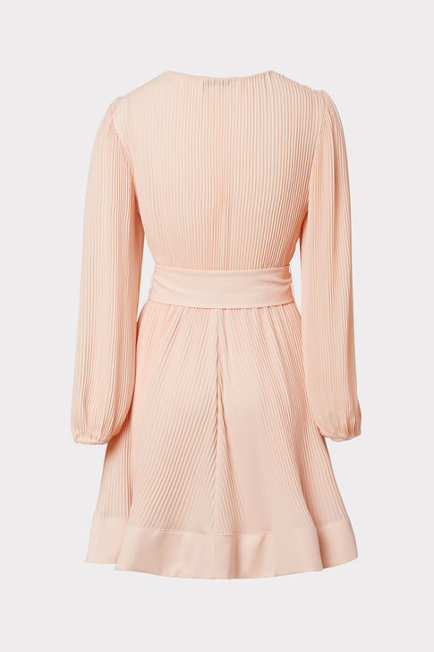 Liv Pleated Dress 3