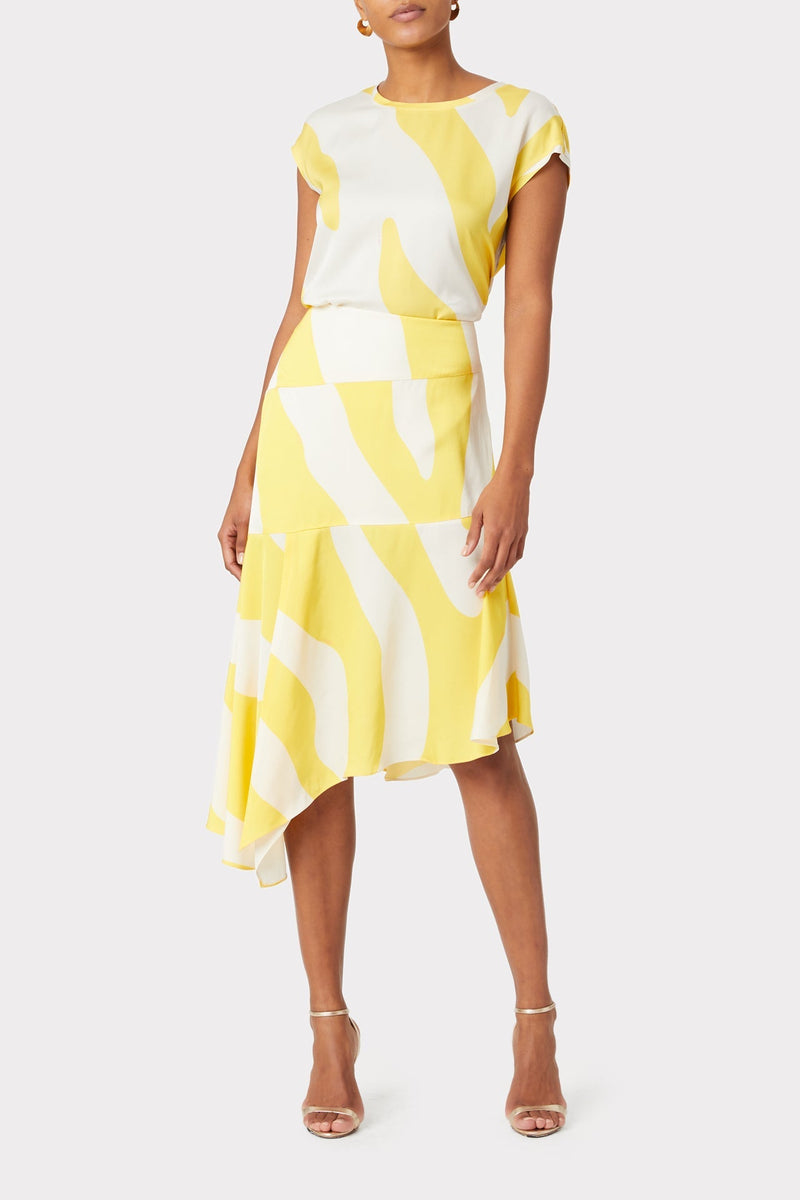 Hayes Spring Zebra Viscose Top