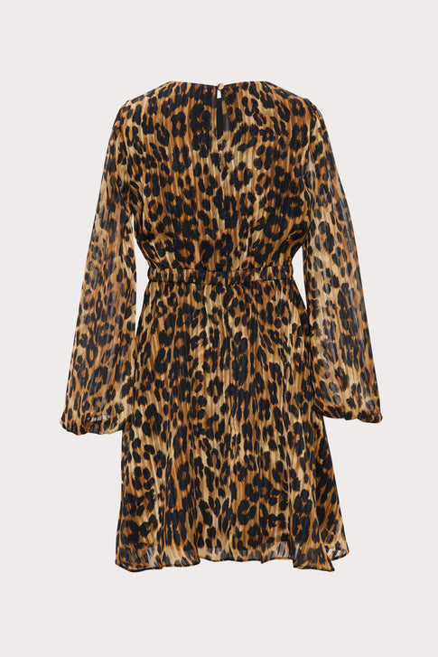 Mini Elma Cheetah Burnout Dress 1