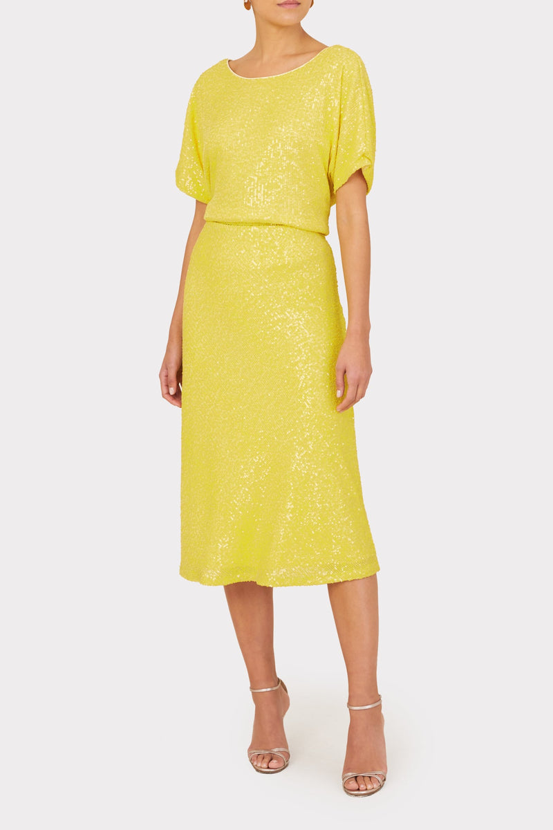Stretch Micro Sequins Bias Skirt