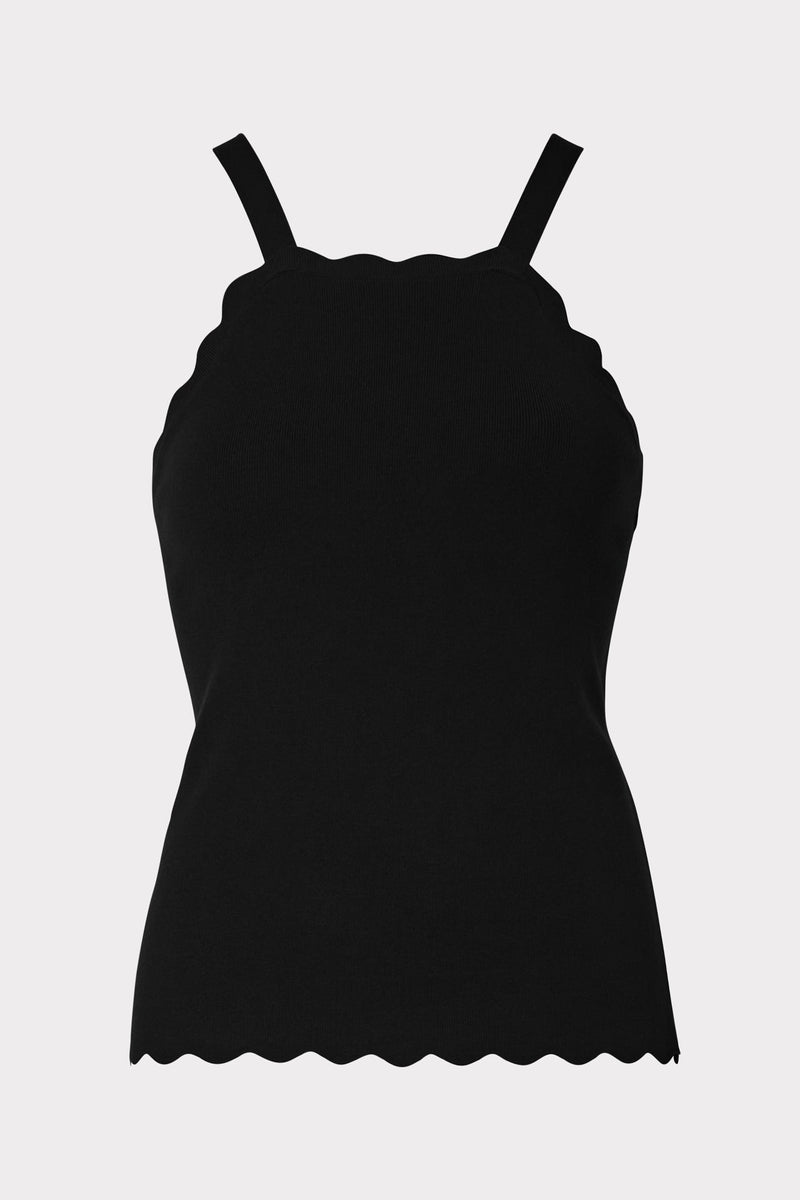 Scallop Tank