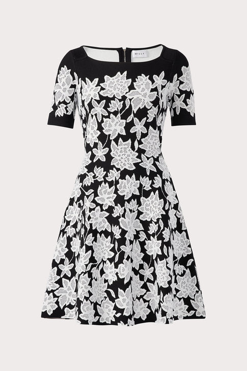 Lace Jacquard Fit & Flare Dress 5