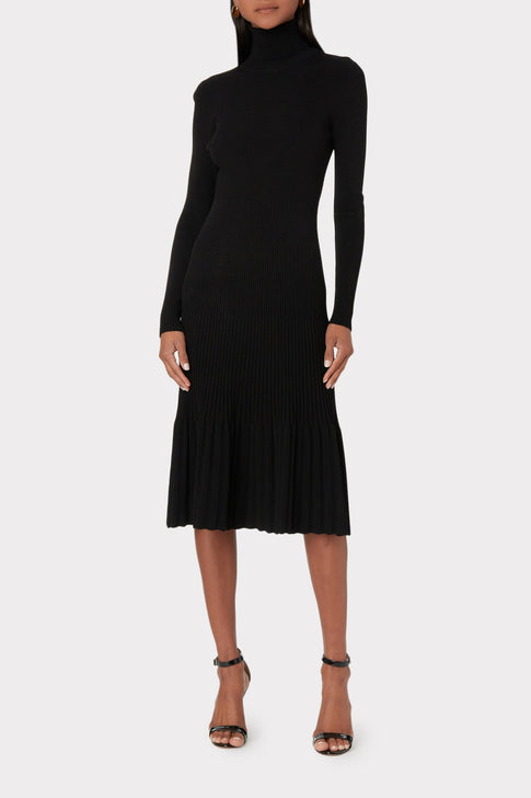 Rib Turtleneck Dress 1