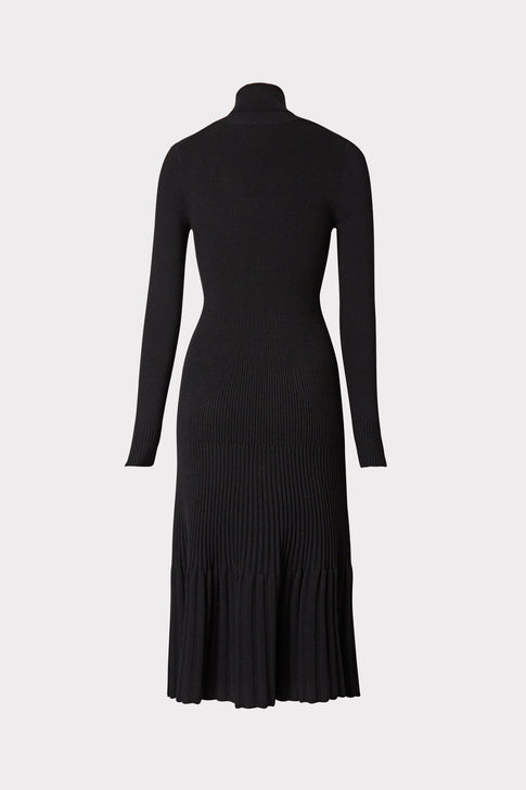 Rib Turtleneck Dress 3