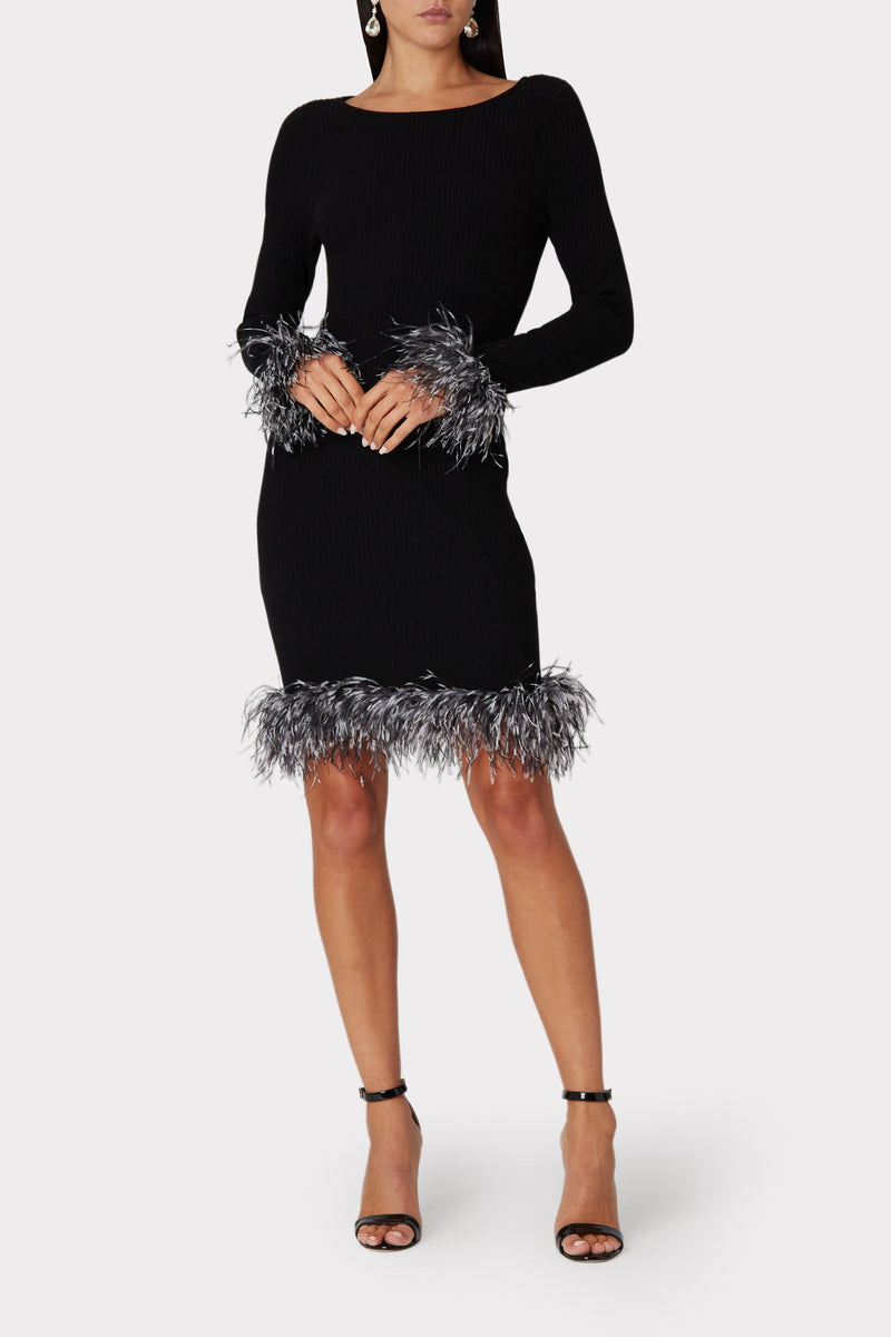 Feather Dress